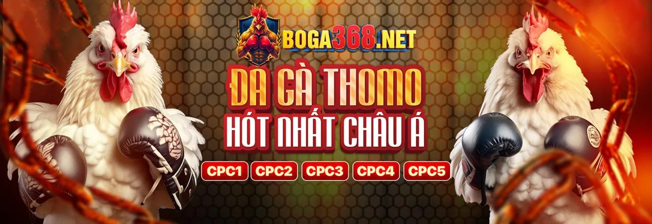 Tham Gia 5keo Ngay